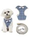 TERRIFI Small Dog Harness and Leash Set, Plaid Style Puppy Vest Harness with Bow Tie, Adjustable Basic Harness Detachable Dog Walking Harness for Small Dogs (M Size, Blue Plaid Style)