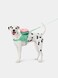 VETRESKA Flora Pet Backpack &amp; Harness 3 in 1 Set (S)