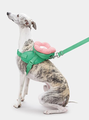 VETRESKA Flora Pet Backpack &amp; Harness 3 in 1 Set (S)