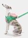 VETRESKA Flora Pet Backpack &amp; Harness 3 in 1 Set (S)