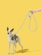 VETRESKA Connect Hands-Free Rope Leash for Pets (Daisy)