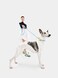 VETRESKA Connect Hands-Free Rope Leash for Pets (Daisy)
