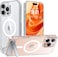TORRAS Strong Magnetic &amp; Seamless Stand for iPhone 16 Pro Max Case, Fit for MagSafe, Military-Grade Drop Protection, Adjustable Kickstand, Slim Frosted Matte, Pstand Series, Clear