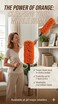 Duster Microfiber Feather Duster with Extendable Pole, 19.69 inches to 31.50 inches Long Cobweb Duster for Cleaning, Bendable Head, Non-Scratch, Washable Duster for Ceiling, Fan, Furniture 2 PACK