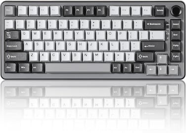 YUNZII B75 PRO Wireless Mechanical Keyboard,75% Gaming Keyboard Gasket Hot Swap Custom Keyboard with Knob,Pre-lubed Switches RGB,Bluetooth/Type-C/2.4G (Dark Grey, Cocoa Cream V2 Switch)