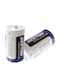 Beston D Super Alkaline Battery -  Pack of 2
