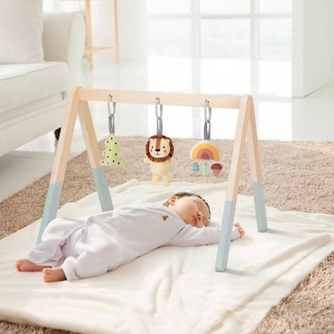 صالة الألعاب الصغيرة Tooky Toys