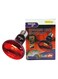 WACOOL Infrared Heat Spot Lamp 100W