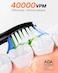 Bitvae Electric Toothbrush for Adults - Ultrasonic Electric Toothbrushes with 8 Brush Heads, ADA Accepted Power Rechargeable Toothbrush with 5 Modes, Smart Timer, Black D2