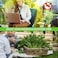 BananaHome 60pcs Mosquito Repellent Citronella Incense Sticks with Holder,Natural Plant Ingredients Citronella Oil Lemongrass Rosemary Oil,DEET Free Repellent Outdoor (Citronella Incense Sticks)