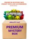 Premium Mystery Box For Fidget Toys and Accessories 20 plus items