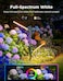 Govee Outdoor Garden Lights-H7086