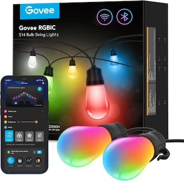 Govee LEB Bulb String Lights - H7020