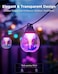 Govee Outdoor Clear Bulb String Lights-H7025