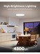 Govee Ceiling Light Pro 18Inch