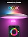 Govee Smart RGBICWW Ceiling Lights 30 Cm Circle - H60A1