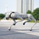 Unitree Go2 Robot Dog Quadruped Robotics for Adults Embodied AI (Go2 Air) &ndash; With Controller