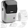 NIIMBOT B1 Label Maker with Auto Identification,2 Inch Bluetooth Portable Label Printer Easy to Use for Office, Home, Business (with 2x1.18 inch Label), Silver
