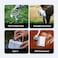 Flextail Tiny Shower, World&rsquo;s Smallest Portable Outdoor Shower, 200g Ultra-Light, 70-Min Runtime, 1.32 gal/min Flow, IPX7 Waterproof, Works with Warm Water
