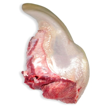 Brazilian Frozen Beef Tongue