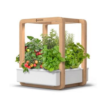 Ermonix Garden Cube Smart Garden Germination Kit
