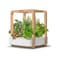Ermonix Garden Cube Smart Garden Germination Kit