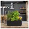 Ermonix HydroGarden 3 Extendable Elite - Black Smart Garden Germination Kit