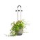 Ermonix HydroVase - Concrete Smart Garden Germination Kit