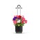 Ermonix HydroVase - Black Smart Garden Germination Kit