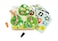 لعبة Tooky Toys Catch & Insect