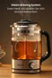 Moxedo Aeris Steam Tea Brewer Precision Steam Brewing 1.5L Capacity, BPA Free, 3 Control Modes, Smart Control Dial with Stainless Steel Tea Filter for Pure Tea Flavor 
