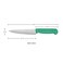 Kitchen Master 6 Inch Stainless Steel Professional Chef Knife (Green)   NSF Certified for Produce &amp; Vegetables, KMK004