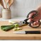 Kitchen Master 2-Piece Knife &amp; Scissors Set - Professional 4-Inch Paring Knife and Multi-Purpose Kitchen Shears with High-Carbon Stain-Free Steel &amp; Ergonomic Non-Slip Handles (KMK073)