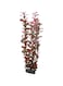 Hobby Aquarium Decor, Artificial Plant - Ludwigia 34 cm