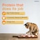 Purepet Adult Dry Cat Food, Real Chicken, 7 Kg   Complete &amp; Balanced Nutrition, Taurine For Healthy Heart, Controls Urinary pH, Healthy Skin &amp; Coat