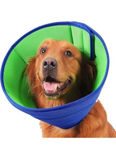 Dog Cone for Small, Medium, and Large Dogs and Cats, Soft Cone for Dogs After Surgery, Lightweight Recovery Cone Collar to Stop Licking and Scratching (Blue-green, L)