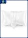 White Satin Pillowcase, Soft and Breathable Body Pillow Case, cooling and Silky , White Silk Pillowcase for Hair and Skin (51x76cm)