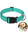 Joyzzz Dog Collars, Soft Neoprene Padded Dog Collars, Reflective Dog Collars, Comfy Puppy Collars, Adjustable Nylon Dog Collars for Girl and Boy Dog, Breathable Nylon Pet Collar (Teal, L)