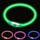 woeita LED Dog Collar,Glow Light Collar for Dogs,Ultra Bright USB Rechargeable Cut to Fit Any Size - Rechargeable Battery - Increased Visibility &amp; Safety For Your Pets(Green)