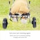 Dog wheelchair for back legs, Adjustable pet wheelchair with Two back wheels and chest support, Pet mobility aid for Aging and Injured dogs, Suitable for small pets 40.5 cm S (Green)