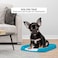 Dog potty tray with Column and Detachable grid design, Leak-proof dog toilet for small to medium breeds, Reusable dog training tray, Ideal for Indoor &amp; Outdoor 45 cm (Blue_Sky)