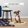 Flat dog toilet with Column and Detachable grid design, Portable dog training tray for medium to large dogs, Durable and Easy to clean, Leak-proof dog toilet 54 cm (Yellow)