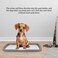 Dog training toilet with Column, and Detachable grid design, Dog potty training pad holder for small to medium indoor dogs, Reusable and washable dog toilet tray 48 cm (Grey)