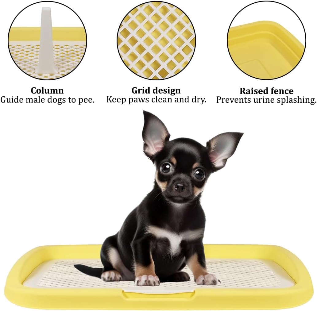 indoor dog potty training