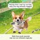 Dog chew toys set for All-sized breeds, Durable interactive pet playset for Dental Health &amp; Training, Dog toys combo set with Magic unicorn, Tortoise, Bear, and Chew rope (4pcs)