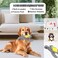 Dog chew toys set for All-sized breeds, Durable interactive pet playset for Dental Health &amp; Training, Dog toys combo set with Magic unicorn, Tortoise, Bear, and Chew rope (4pcs)