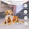 Pet toy set for small to medium-sized dogs, Dog training toys with Dinosaur, Chicken, and Chew ropes, Bite-resistant teeth cleaning &amp; Boredom relief training toys, No battery required (4pcs)