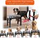 Pet feeding bowl with 5 Height adjustable raised, Durable &amp; Non-slip bottom, Pet feeder stand with Stainless steel double bowls, Washable and Easy assembly, ideal for All breed sizes, 43 cm (Black)