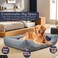 Cozy Pet bed for Indoor Pets, Warm Polyester Nest, Ideal for all size breeds, Dog cushion with Removable Pillow, Anti-slip button, Soft edges, and Breathable, Washable pet bed, 90 cm (Grey)
