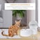 Automatic pet water fountain with Transparent water tank, Food bowl, Water pump, Filter element, and Adjustable water flows, 2.5L Large capacity ideal for cats and small pets 33 cm (White)